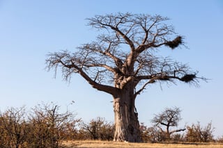 Exploring Limpopo's Hidden Gems Exploring Limpopo's Hidden Gems