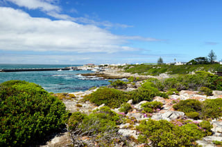 Hermanus a popular seaside resort on the garden route South Africa Hermanus a popular seaside resort on the garden route South Africa