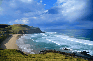 Wild Coast