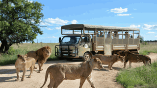 Additional things to do in Johannesburg, depending on your interests