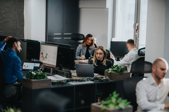Office Employees Working Together