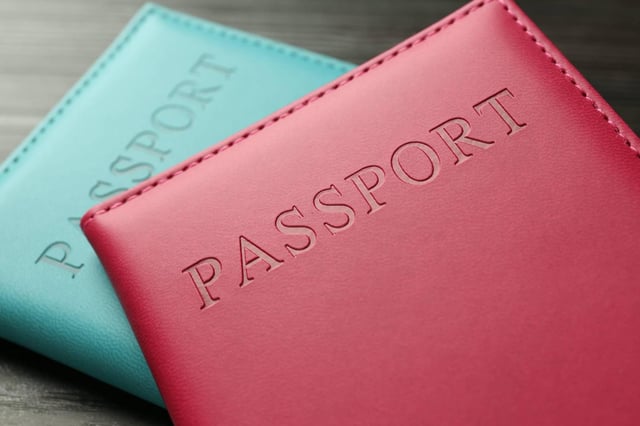 Passport Requirement For South Africa Work Evisa
