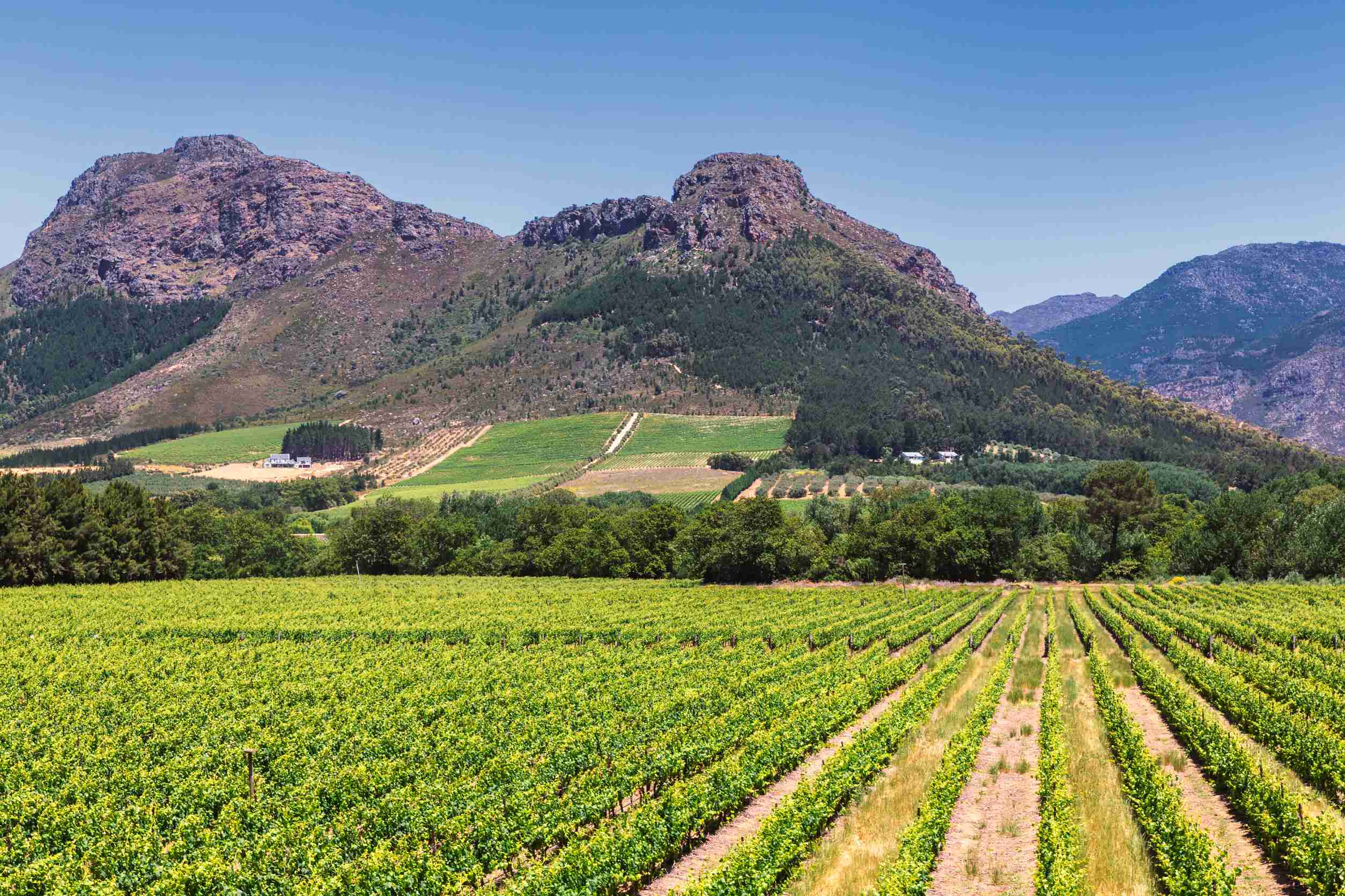 Vineyards and mountains embrace Franschhoek town