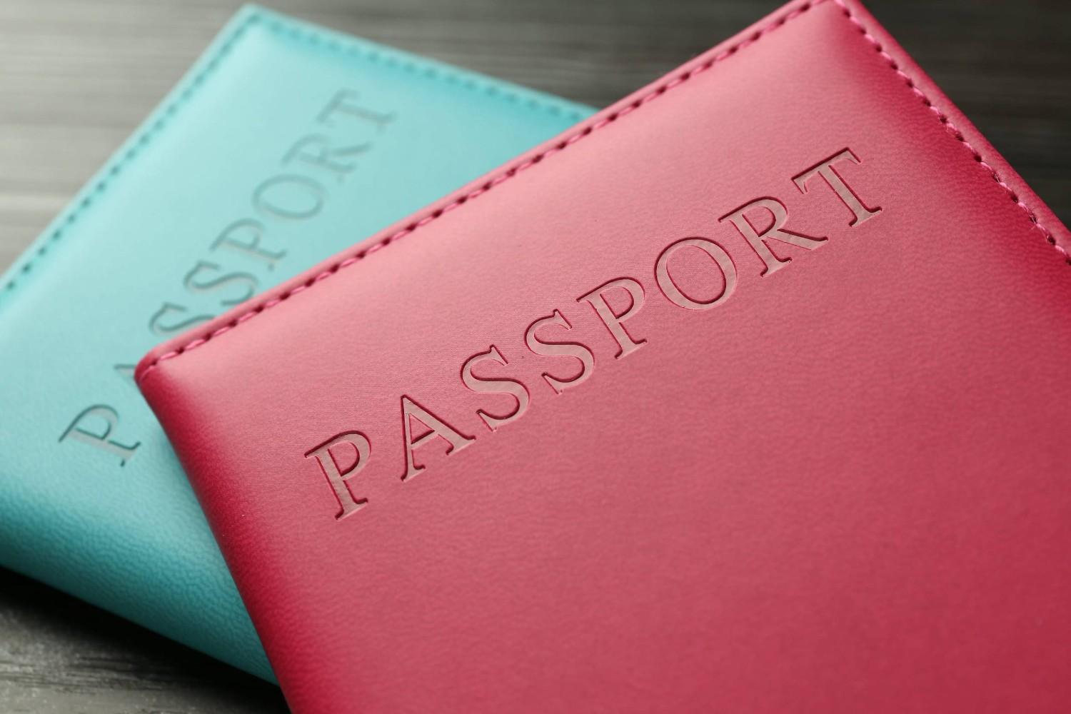 Passport Requirement For South Africa Work Evisa