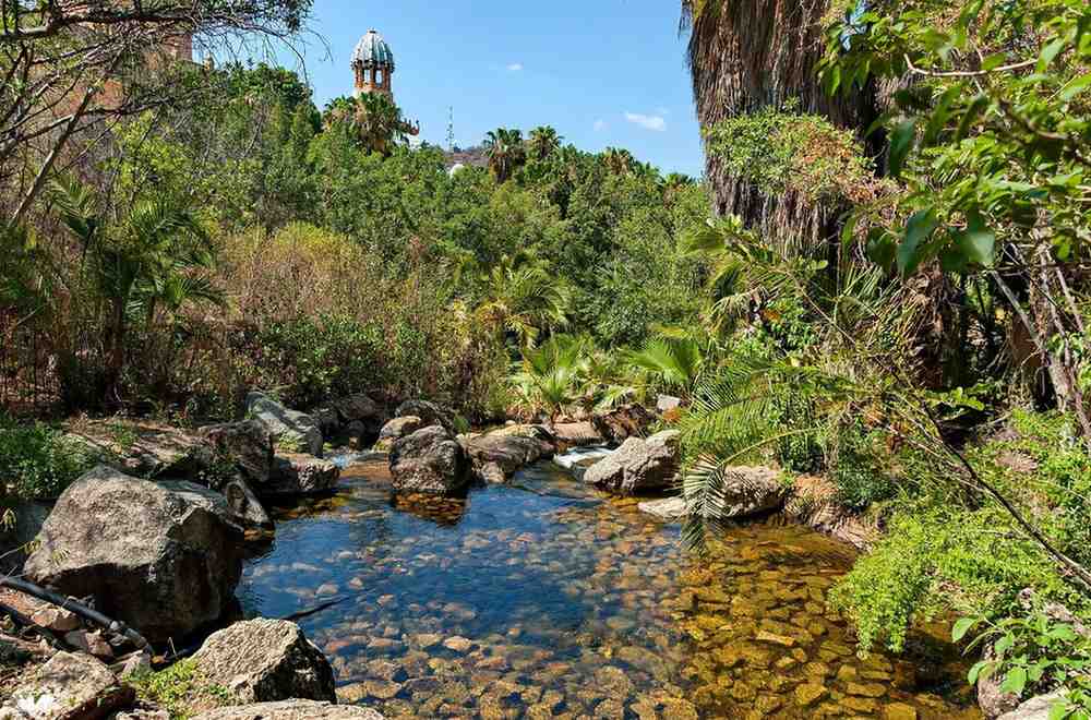 Tropical Garden City South Africa